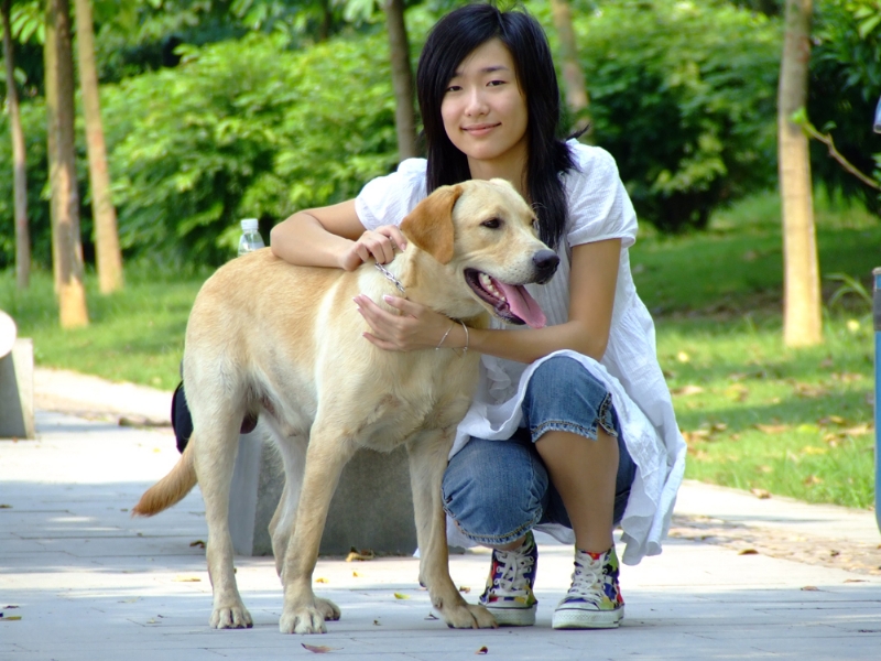 风中的绿叶的第一张照片--邯郸相亲服务中心