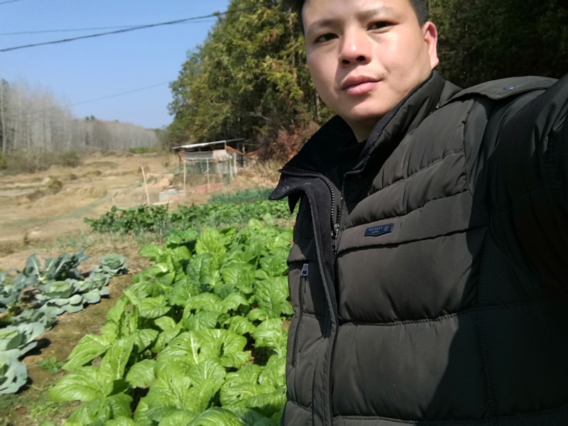 倔强的驴的第一张照片--邯郸相亲服务中心