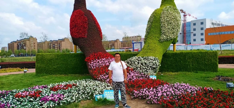 尘埃的第一张照片--邯郸相亲服务中心