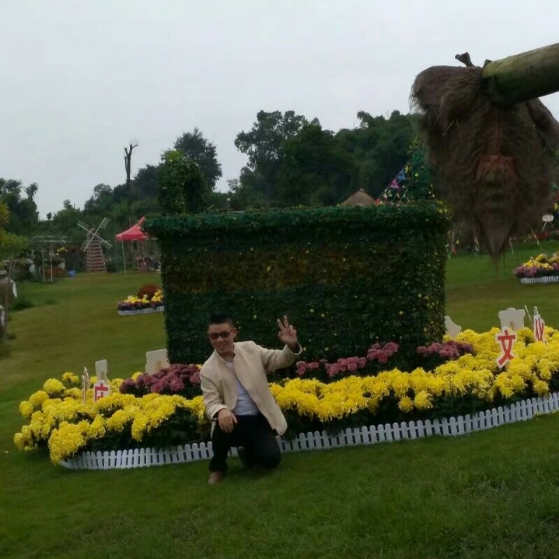 春风里^O^任徜徉的第一张照片--邯郸相亲服务中心