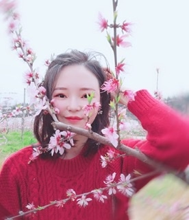 小桌子的第二张照片--邯郸相亲服务中心