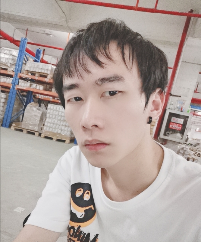 巷子里的猫的第一张照片--邯郸相亲服务中心