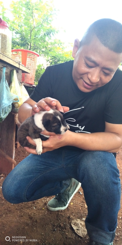 深圳相亲的第一张照片--邯郸相亲服务中心