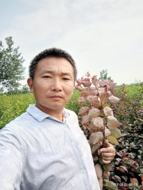 孩子爸的第二张照片--邯郸相亲服务中心