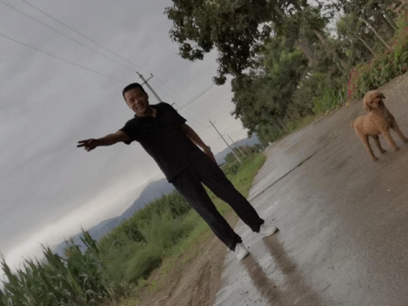 每天的温暖的第一张照片--邯郸相亲服务中心