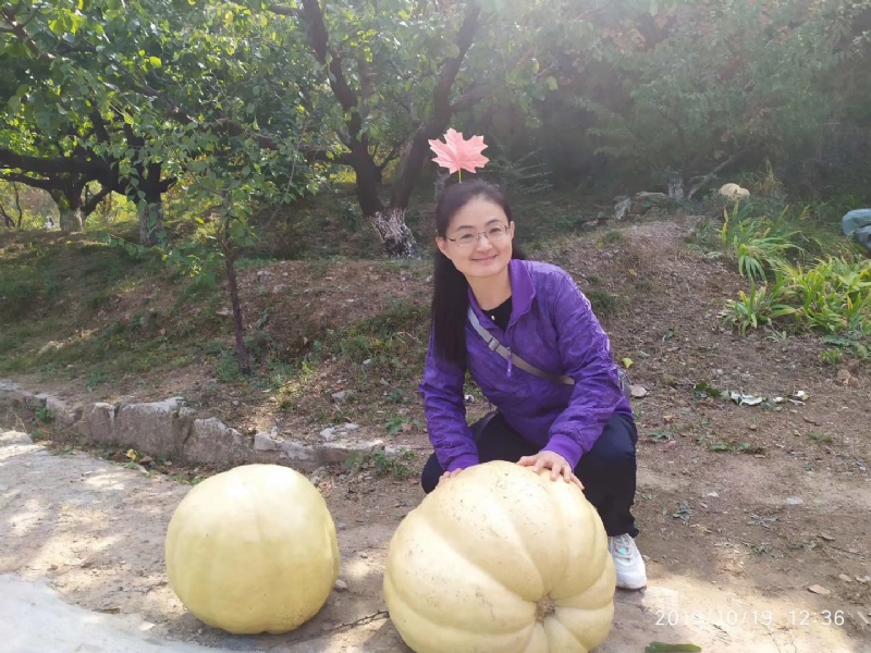 海绵宝宝的第一张照片--邯郸相亲服务中心