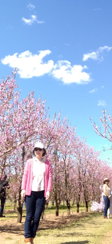 Grace的第二张照片--邯郸相亲服务中心