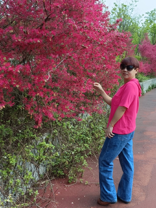 羊羊的第一张照片--邯郸相亲服务中心