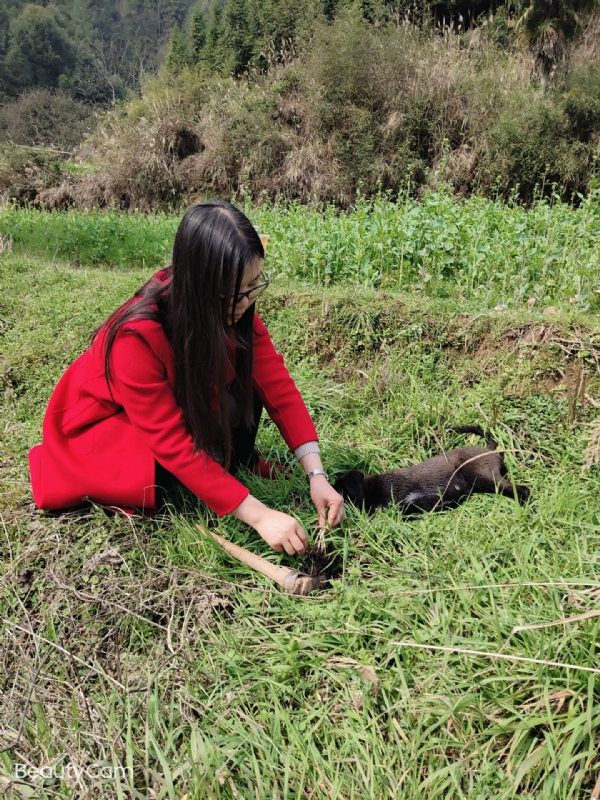 下一个春和秋的第一张照片--邯郸相亲服务中心