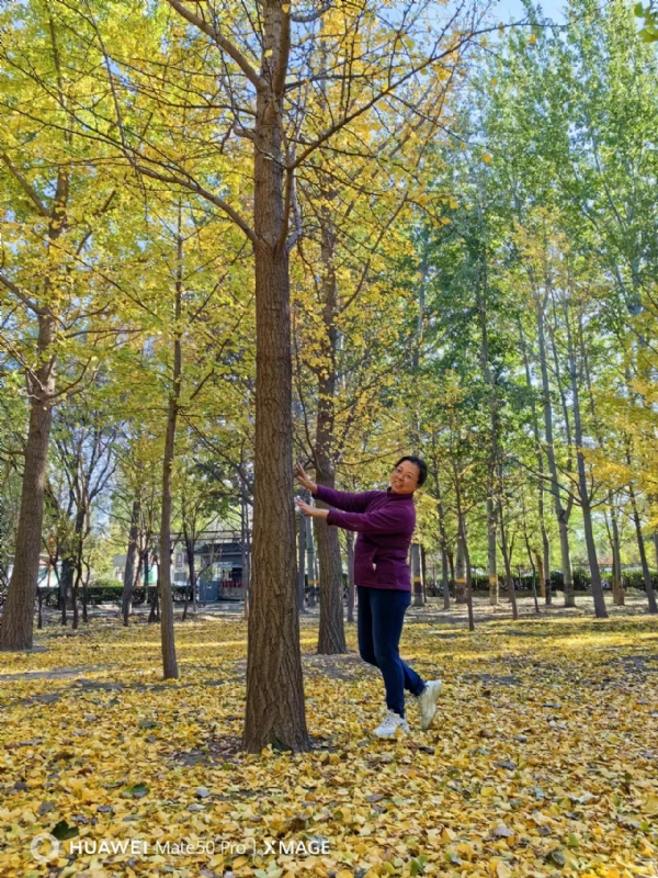 Shirley的第四张照片--邯郸相亲服务中心