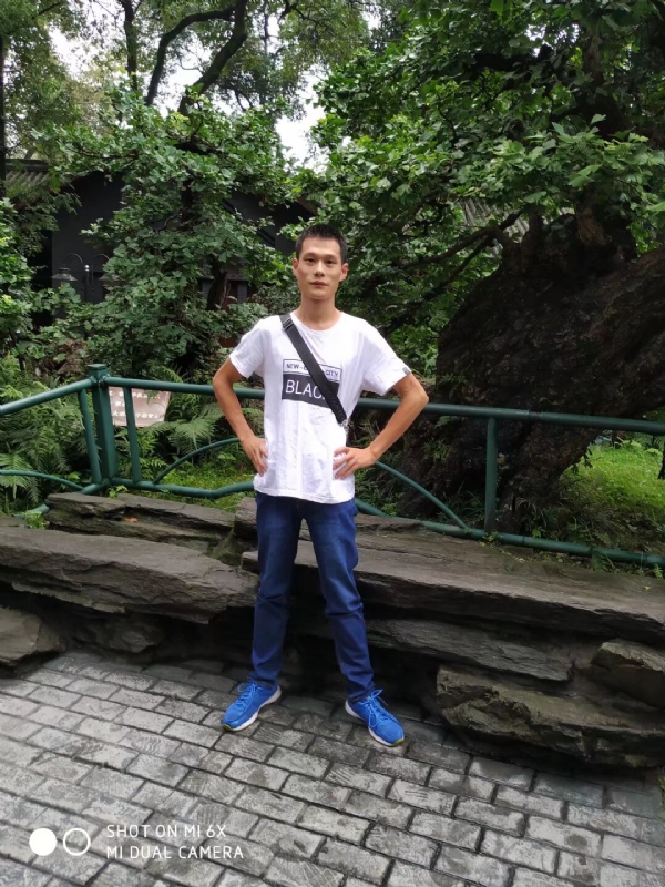 会飞的猪的第一张照片--邯郸相亲服务中心