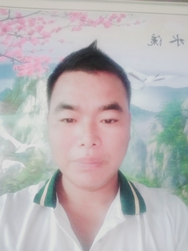 阳光男孩的第二张照片--邯郸相亲服务中心