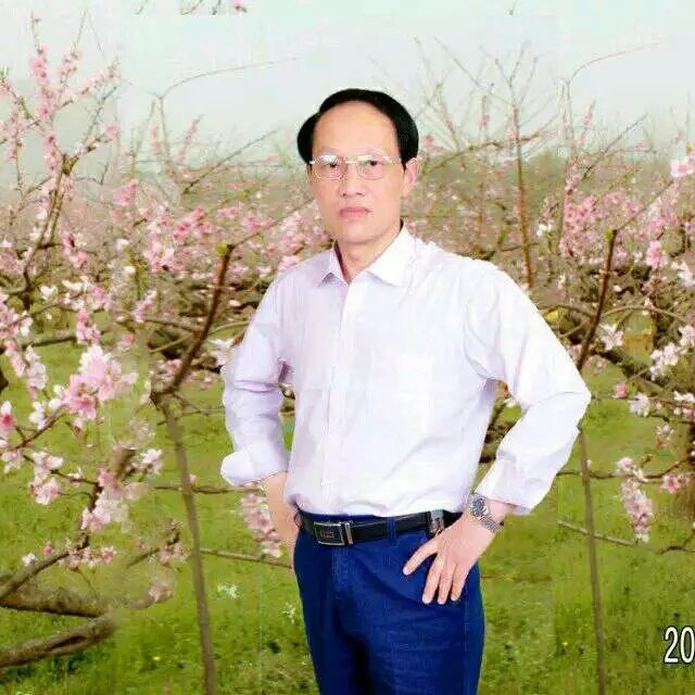 枫叶的第一张照片--邯郸相亲服务中心