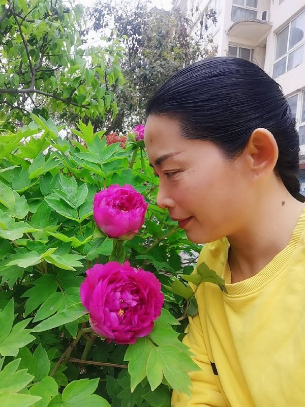 厚德载物的第一张照片--邯郸相亲服务中心