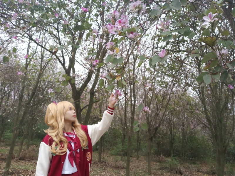 暮秋的第二张照片--邯郸相亲服务中心