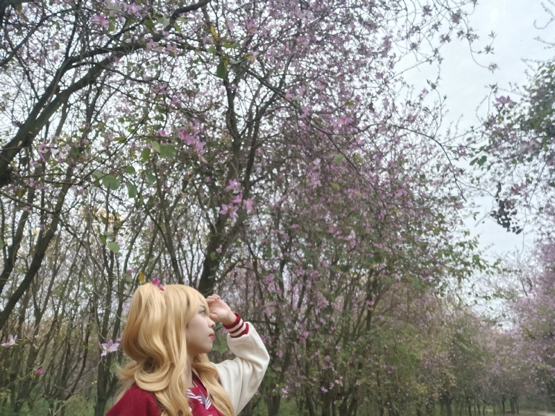 暮秋的第五张照片--邯郸相亲服务中心