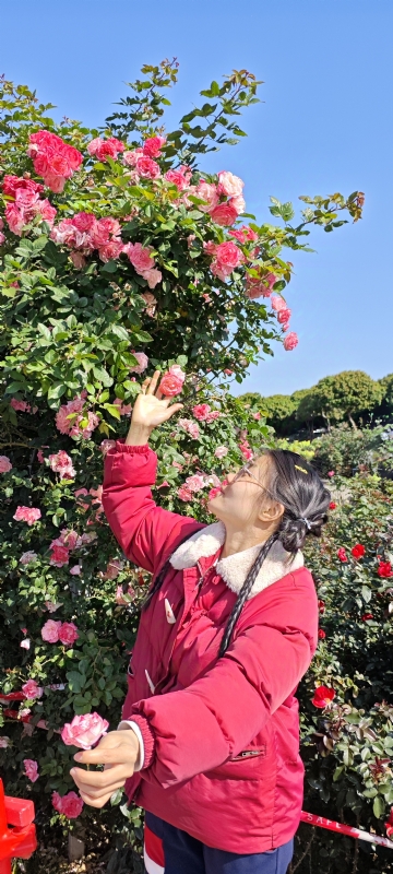 狗狗的第一张照片--邯郸相亲服务中心