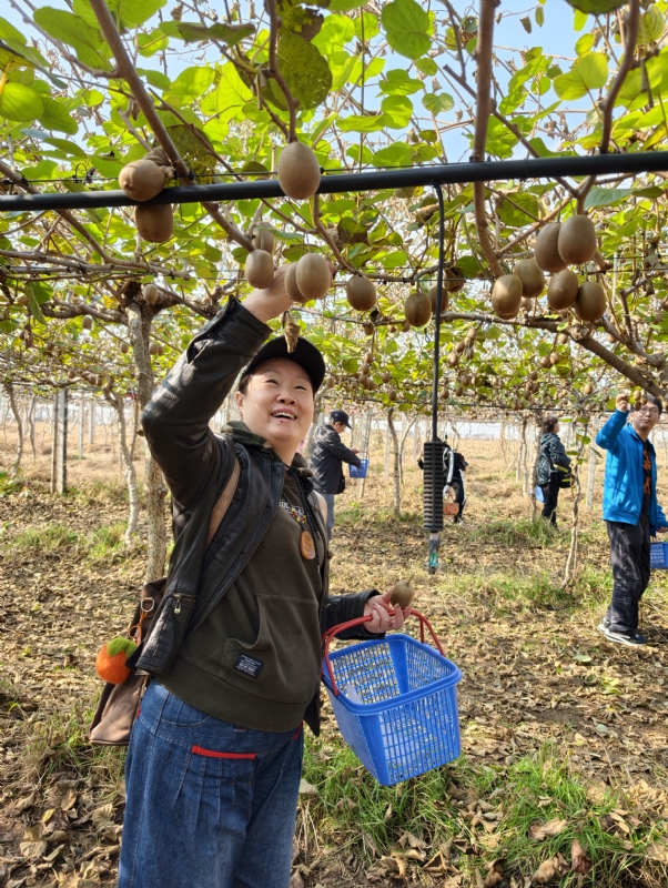 夜莺的第三张照片--邯郸相亲服务中心